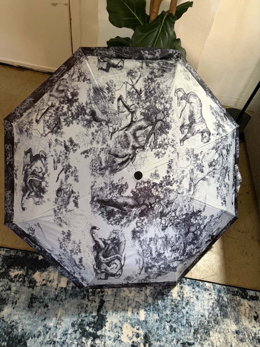 DIOR VIP Umbrella